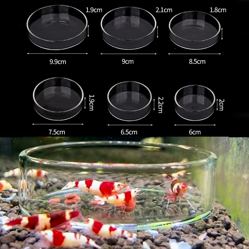 Aquarium Fertilizer - Piring Makan Udang Piring Makan Kaca