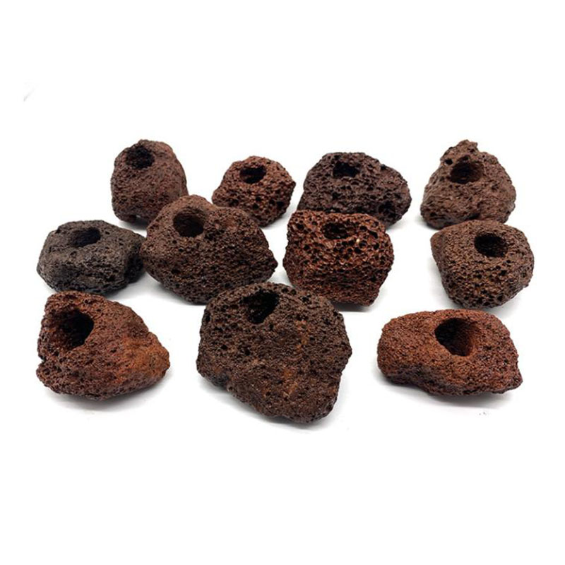 Dekorasi Akuarium Vulkanik Tan - Live Plant Aquarium ulasan dan harga