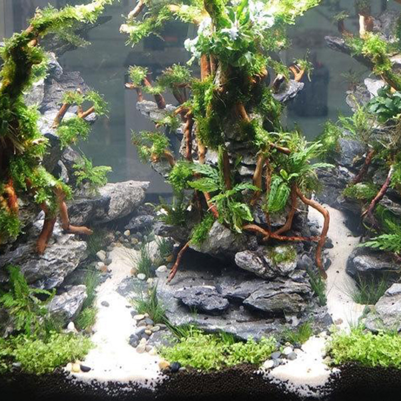 Batang Pohon Kayu Apung Alami  - Aquarium Driftwood ulasan dan harga