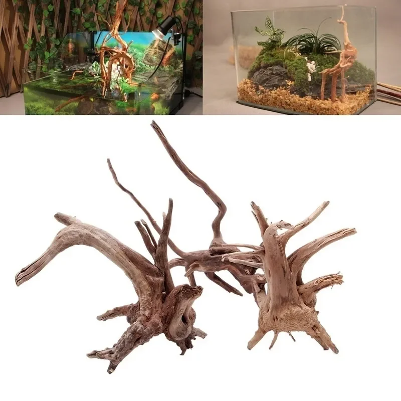 Pohon alami kayu apung akuariu - Live Plant Aquarium ulasan dan harga