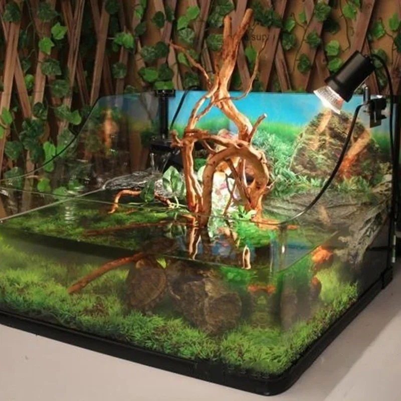 Pohon alami kayu apung akuariu - Live Plant Aquarium ulasan dan harga