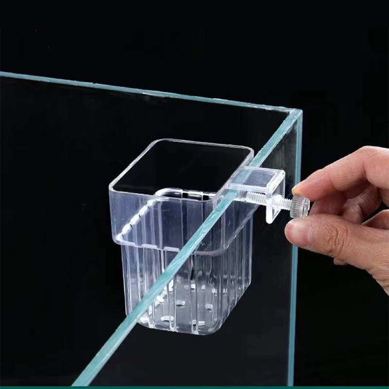 Tempat Tanaman Akuarium Pot Ga - Aquarium Plants Live ulasan dan harga