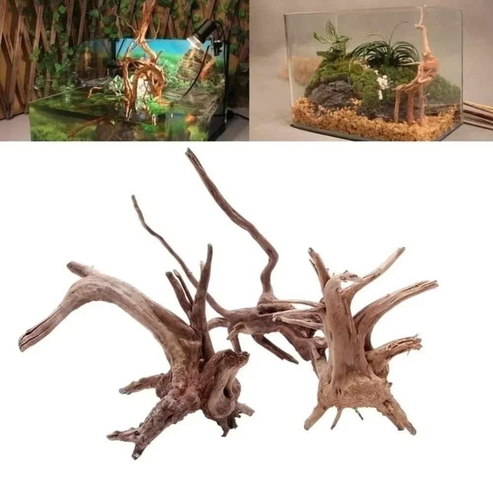 Dekorasi Akuarium Kayu Apung A - Aquarium Moss ulasan dan harga