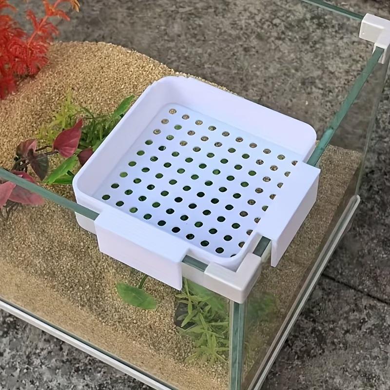 Diffuser Aliran Air Akuarium B - Aquarium Plant Holder ulasan dan harga