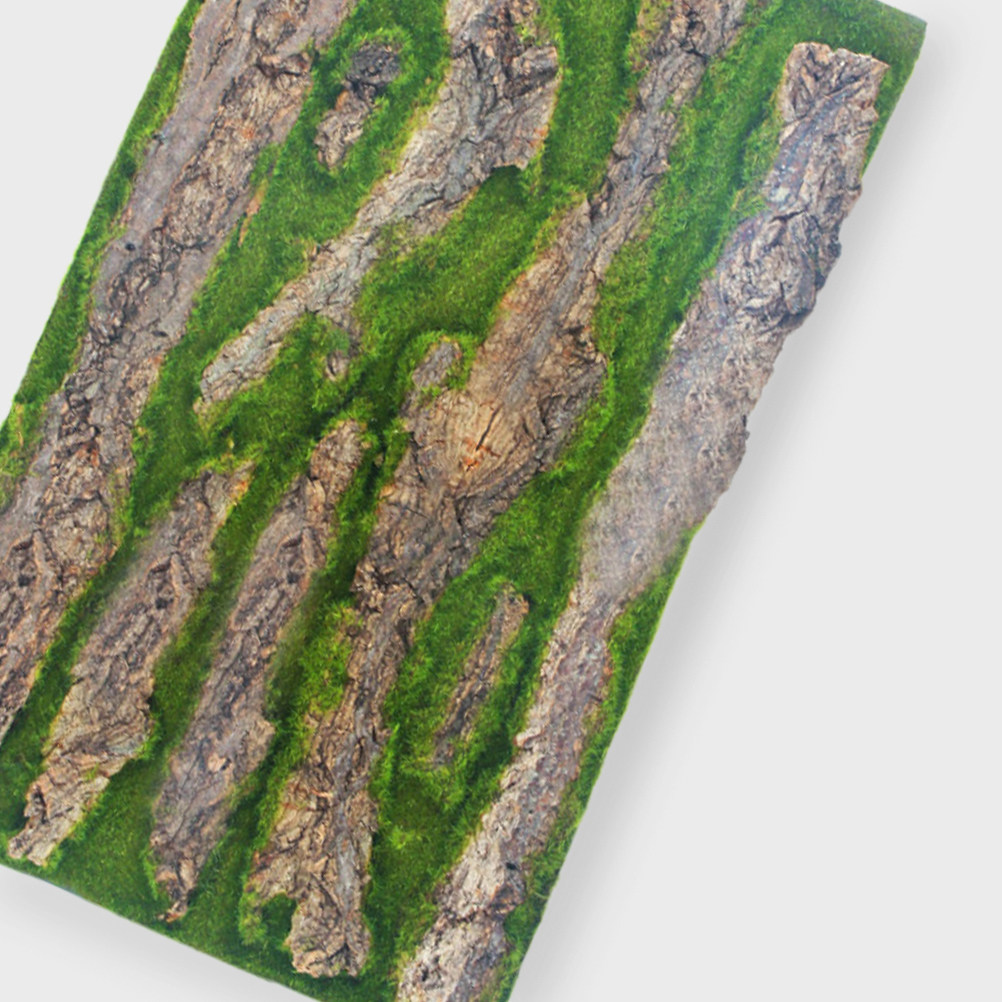 Papan Latar Belakang Akuarium  - Aquarium Moss ulasan dan harga