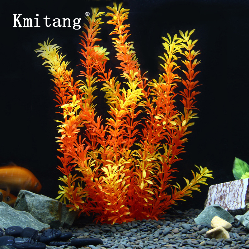 Tanaman Tropis 100cm, Rumput A - Aquarium Moss ulasan dan harga
