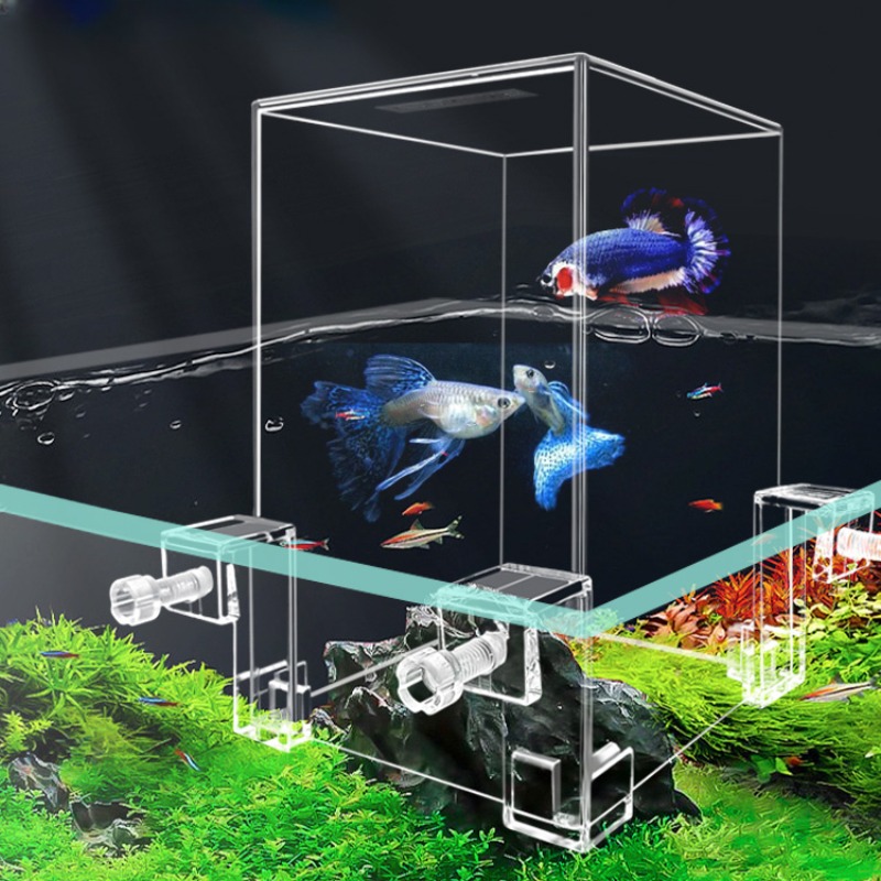 Tangki akuarium kreatif, tangk - Plant Aquarium Pot ulasan dan harga