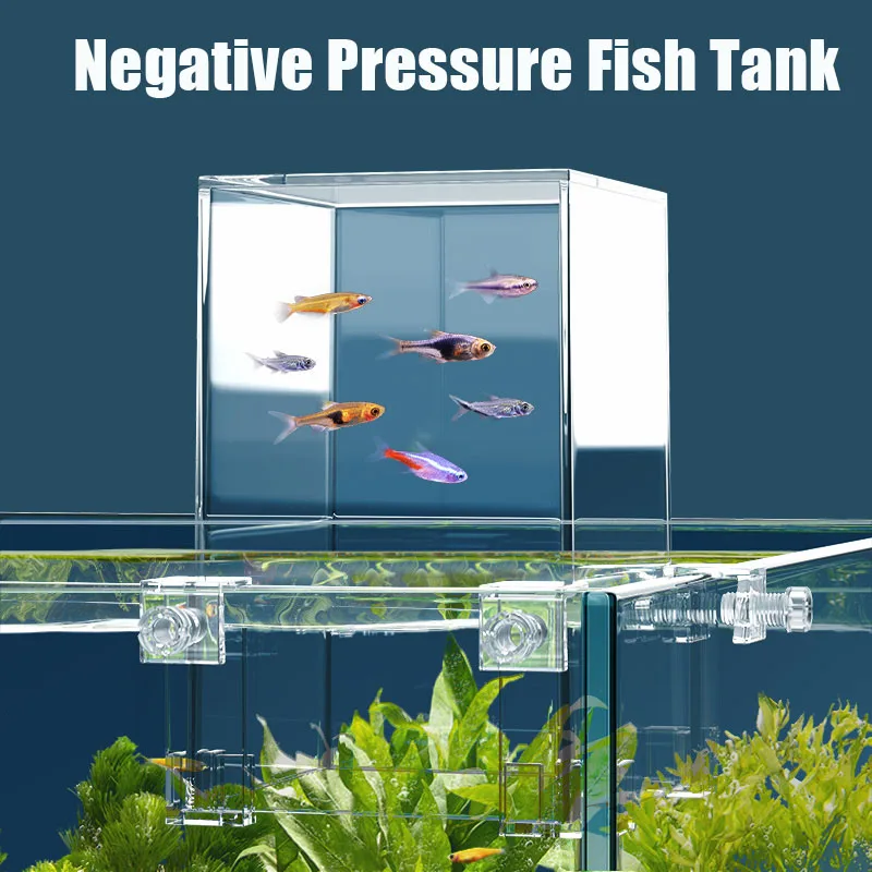 Tangki akuarium kreatif, tangk - Plant Aquarium Pot ulasan dan harga