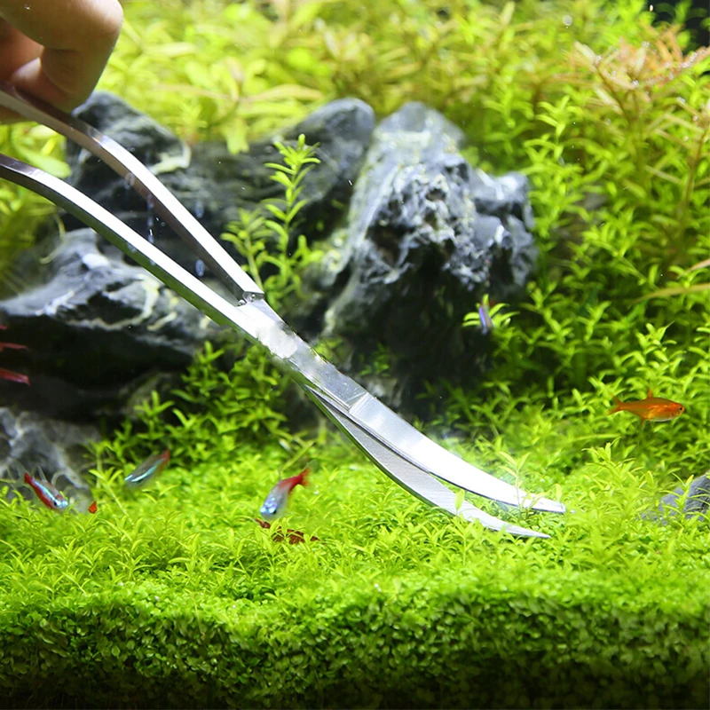 Gunting akuarium, peralatan ta - Aquarium Plant Holder ulasan dan harga