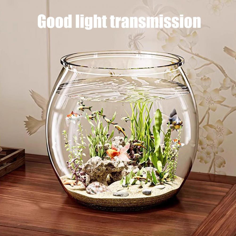 Plastik Bening Bulat Mangkuk I - Plant Aquarium Pot ulasan dan harga